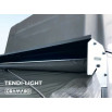 Tendi-Light