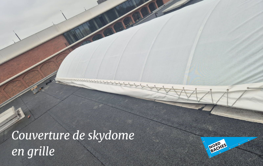 Couverture de skydome en grille 